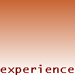 Experience